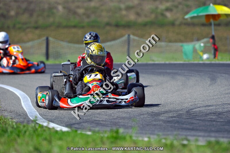 DSC_ (1623).jpg